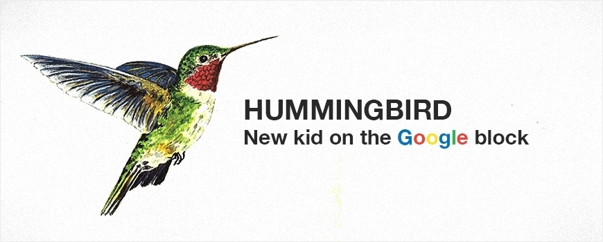 Google new birdie - Hummingbird