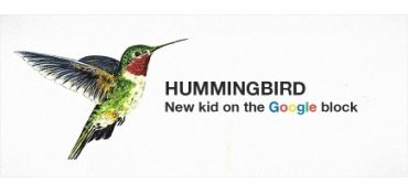Hummingbird - new birdie in Google?